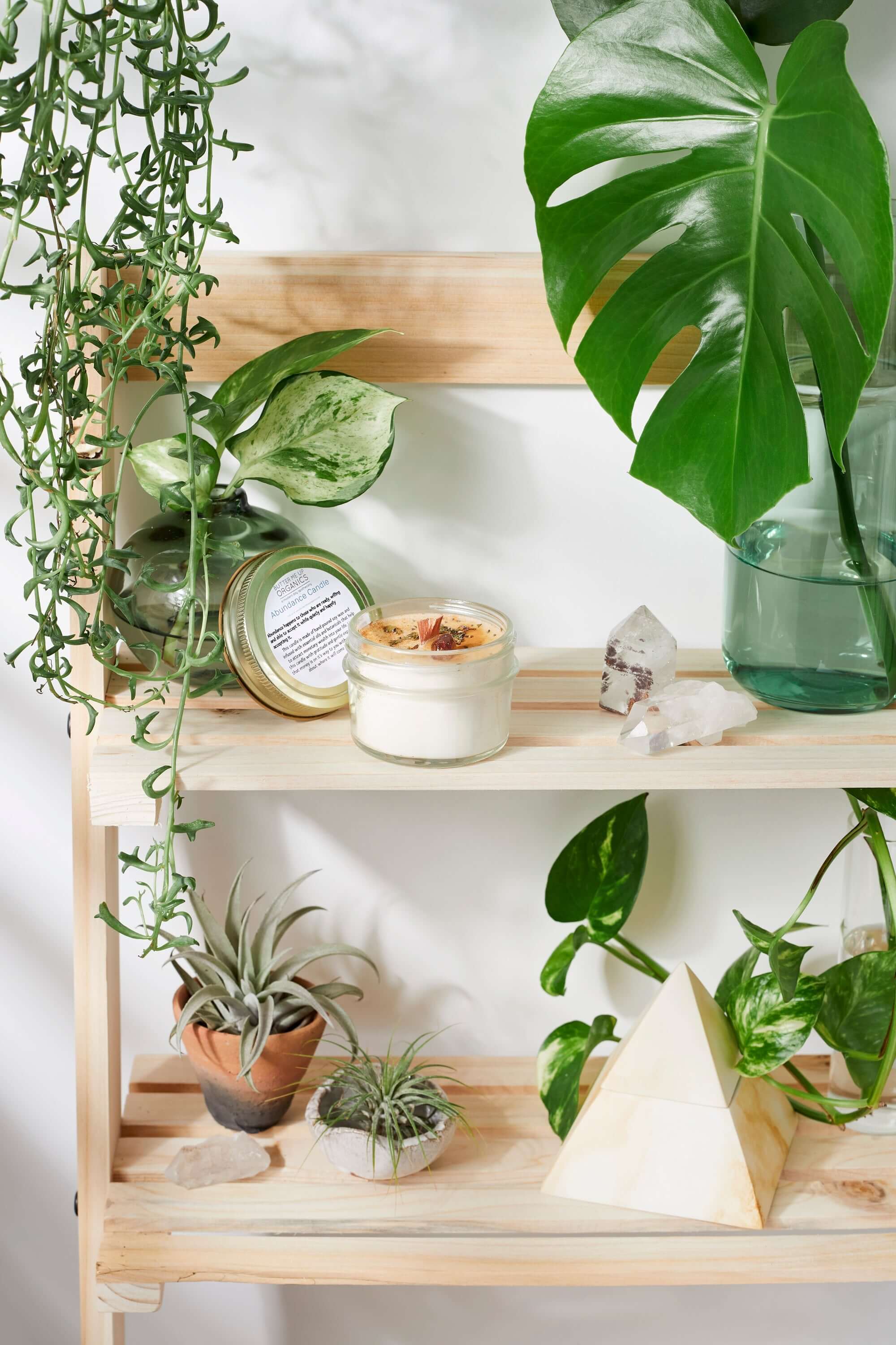 ELITE CASA Hand-Poured Abundance Ritual Candle among green plants on a wooden shelf for a calming ambiance.