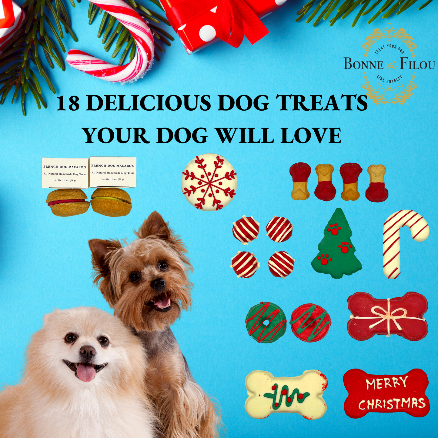 ELITE CASA  christmas-themed-dog-treats-gift-box-elite-casa.jpg