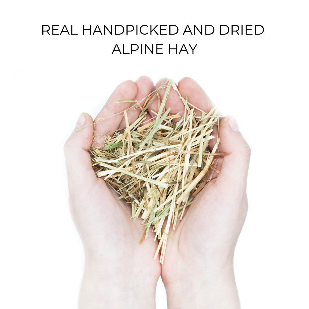 ELITE CASA Organic Case - Alpine Hay