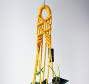 ELITE CASA Hand-Dyed Macrame Hanging Planter